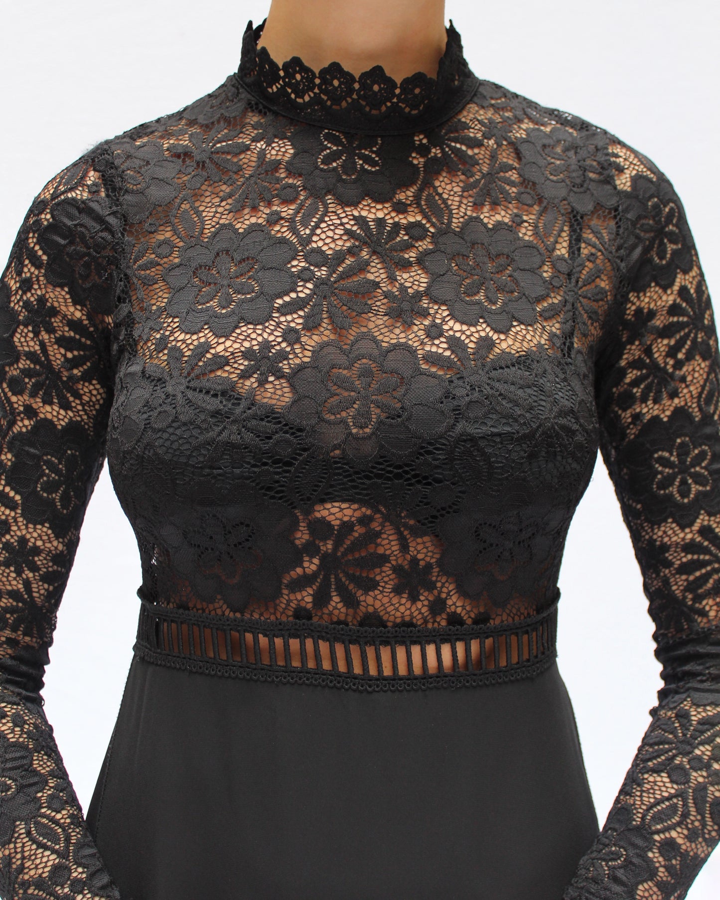 Vintage Sheer Lace Bodice Long Sleeve Gown