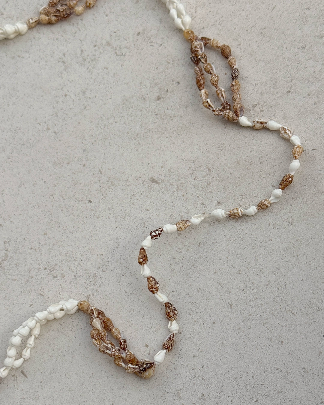 Vintage Colorblock Seashell Necklace with Nassa Shells