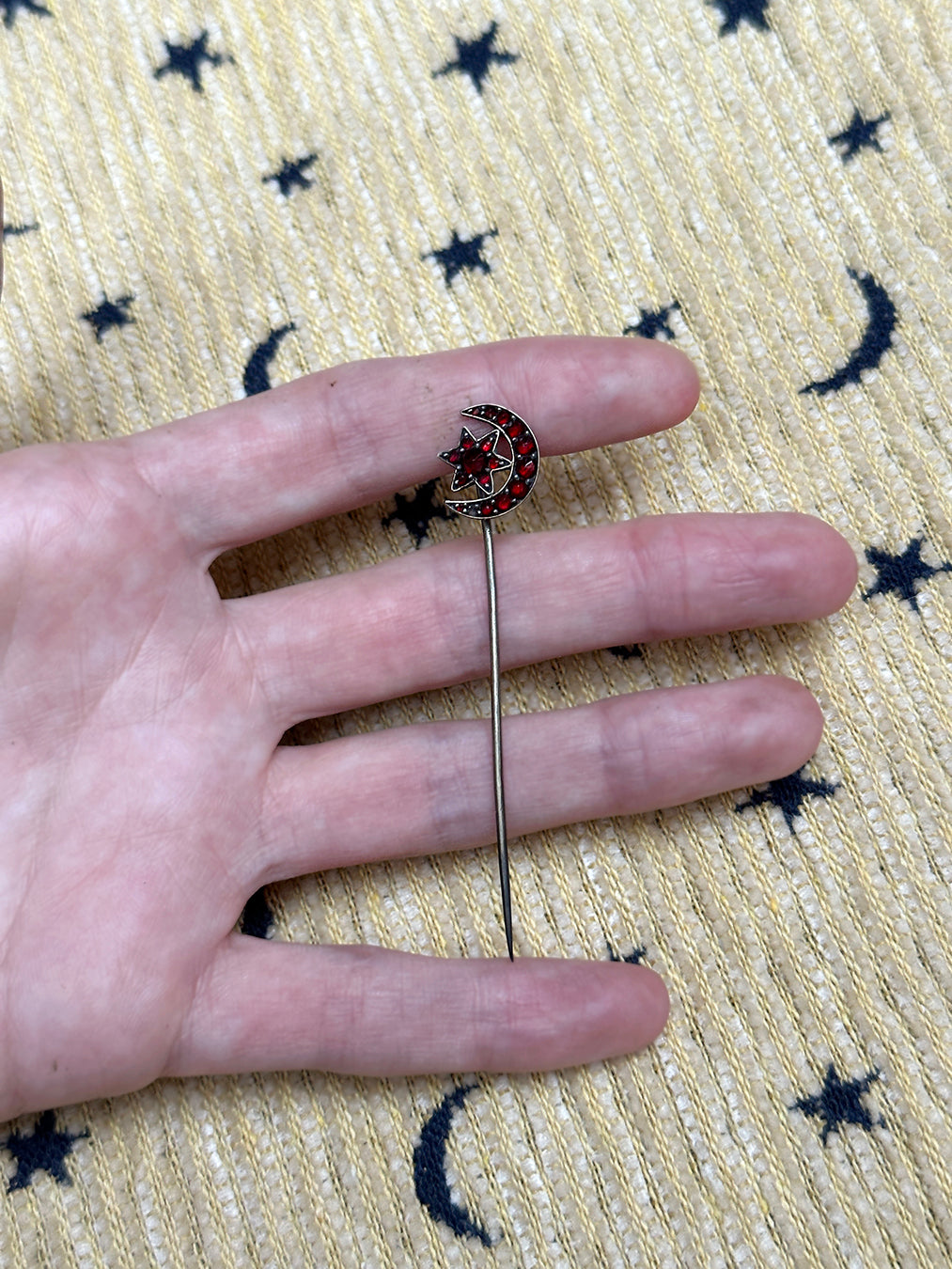 Victorian Bohemian Garnet Crescent Moon And Star Pin
