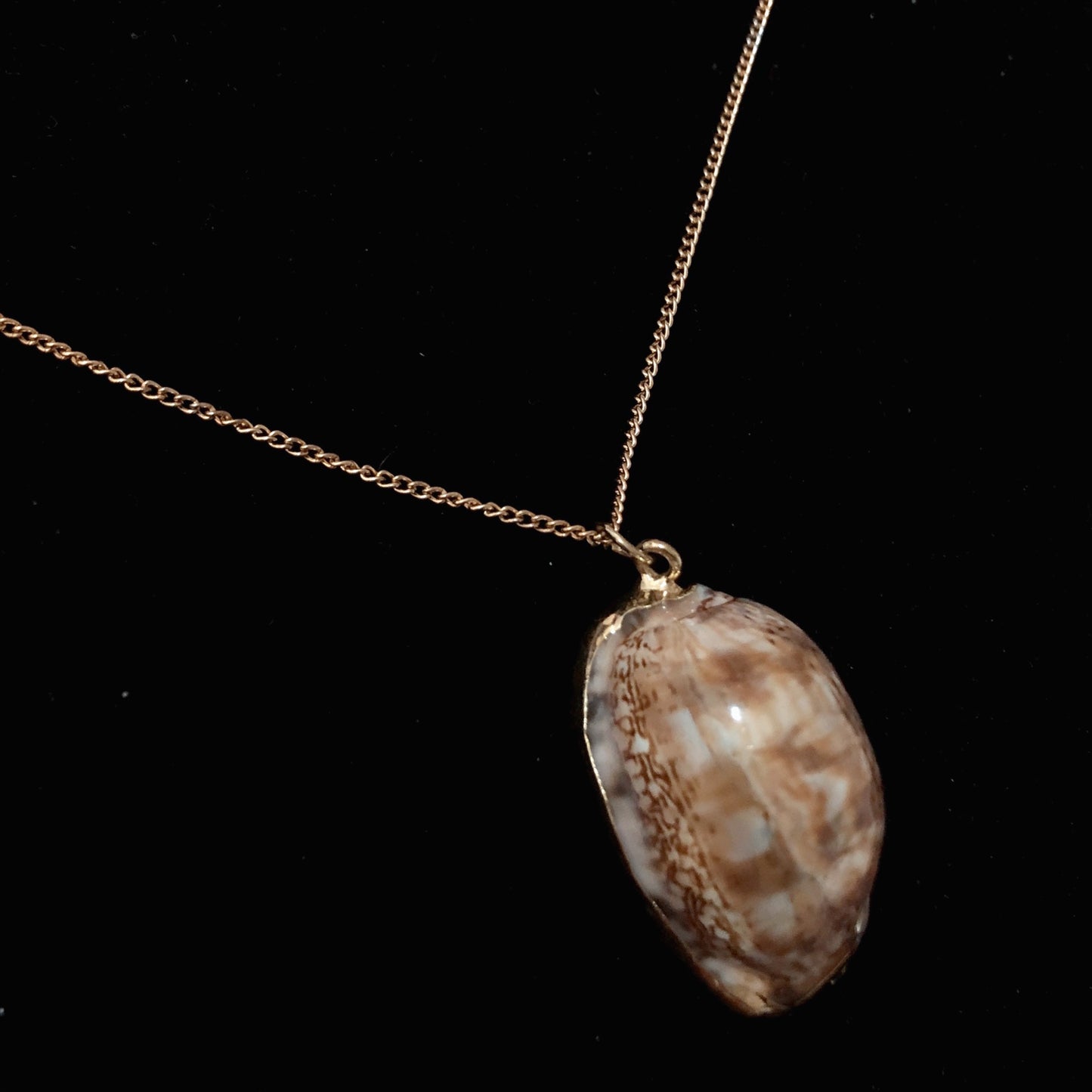 Genuine Seashell Necklace With Cuban Link Chain