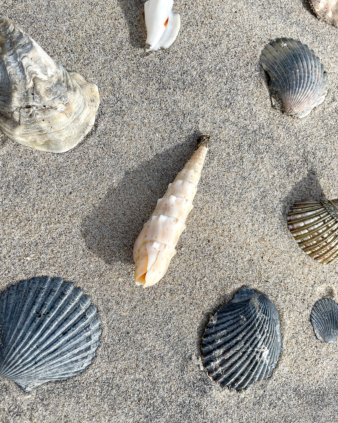 Vintage Seashell Pendant | Long Auger Shell